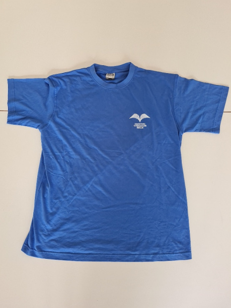 T-Shirt (blau / grau, Mädchen / unisex)