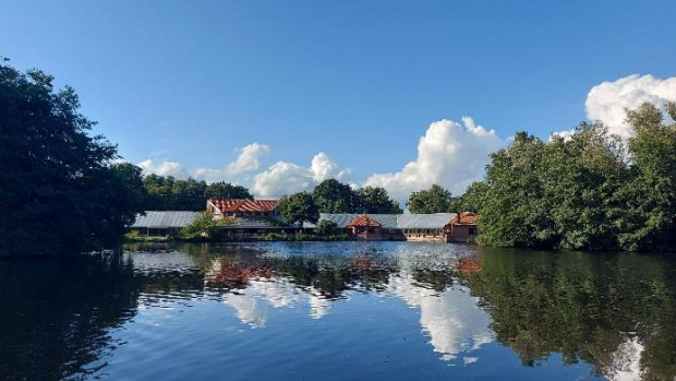 Sommerlicher Blick über einen See, Bäume zu beiden Seiten, flache Häuser am gegenüberliegenden Ufer, blauer Himmel mit weißen Wolken
